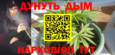 гидропоника Аша