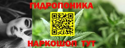 гидропоника Аша
