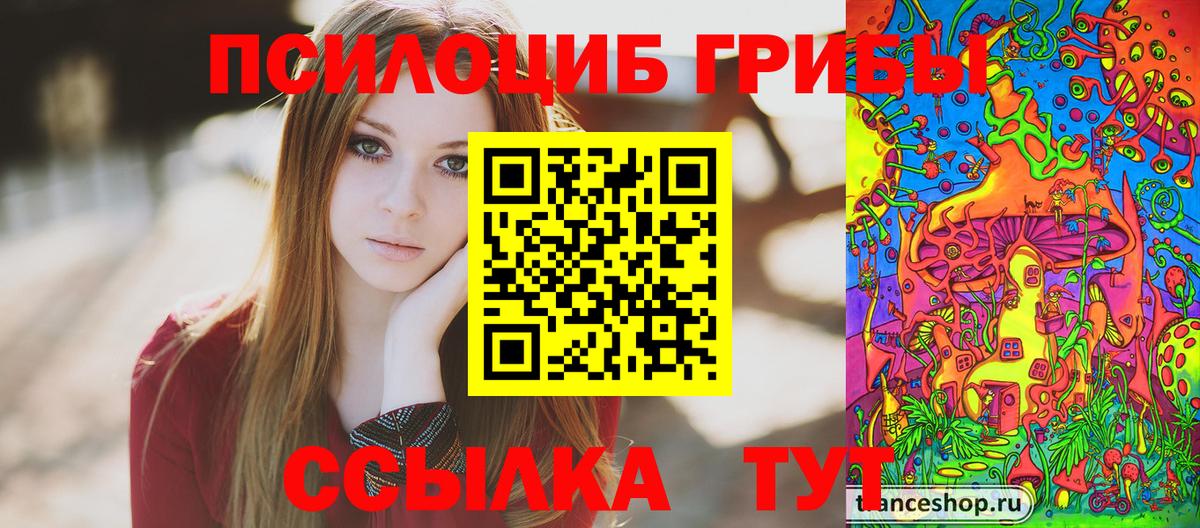 Псилоцибиновые грибы Magic Shrooms Артём